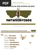 Mariposa s