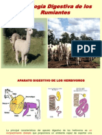 Fisiologia Digestiva de Los Rumiantes - Ict