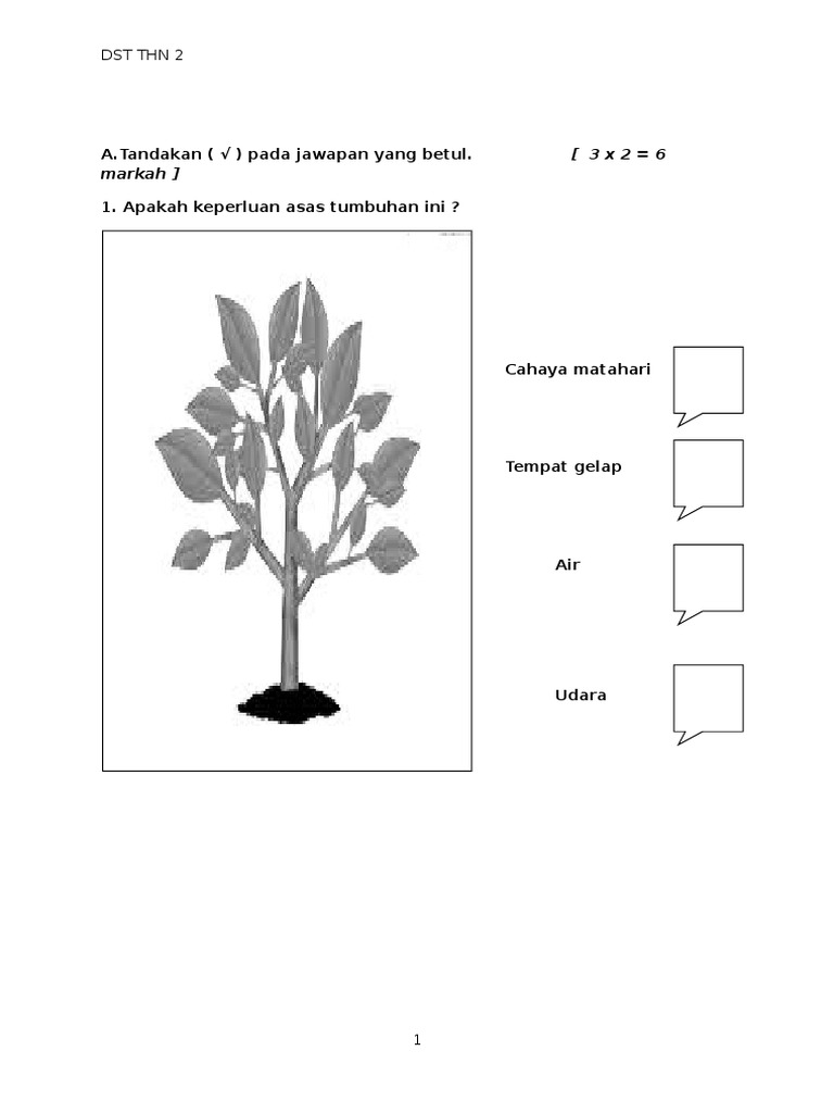 Ujian Penilaian Dunia Sains Dan Teknologi Tahun 2 KSSR  PDF