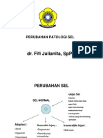 FIF - Adaptasi Dan Jejas Sel 1