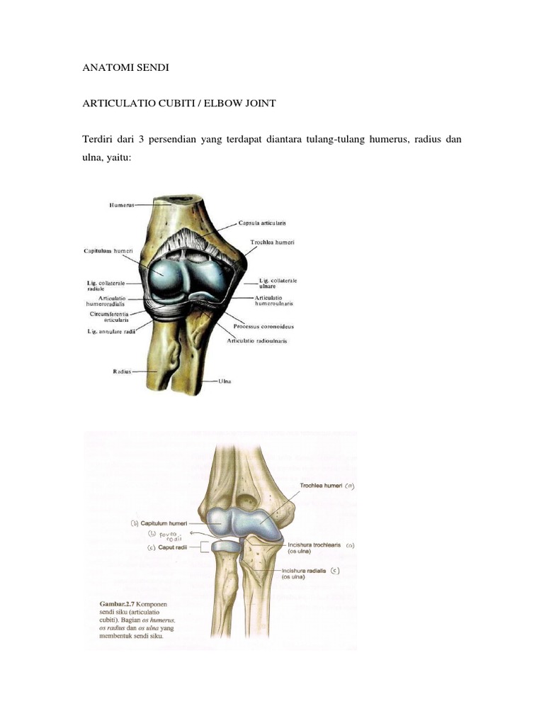 cele mai noi unguente pentru durerile articulare durere în partea externă a articulației șoldului