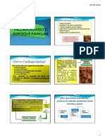 Clase de Familia y Herramientas de Evaluación Familiar. (3).pdf