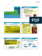 Clase de Familia y Herramientas de Evaluación Familiar. PDF