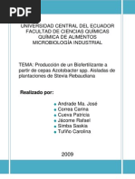 Download Produccin de un Biofertilizante a partir de cepas Azotobacter spp Aisladas de plantaciones de Stevia Rebaudiana by AzotobacterStevia SN24635481 doc pdf