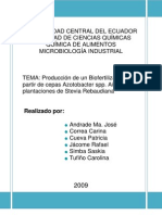 Producción de Un Biofertilizante A Partir de Cepas Azotobacter Spp. Aisladas de Plantaciones de Stevia Rebaudiana