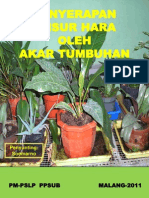 Penyerapan Hara Oleh Akar Tumbuhan