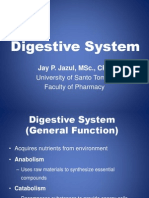 Anatomy of The Digestive System