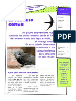 El vencejo Comun.pdf