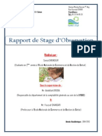 Rapport de Stage SANAA (Réparé) PDF