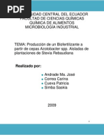 Download Produccin de un Biofertilizante a partir de cepas Azotobacter spp Aisladas de plantaciones de Stevia Rebaudiana3 by AzotobacterStevia SN24636805 doc pdf