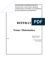 Referat - Matematica