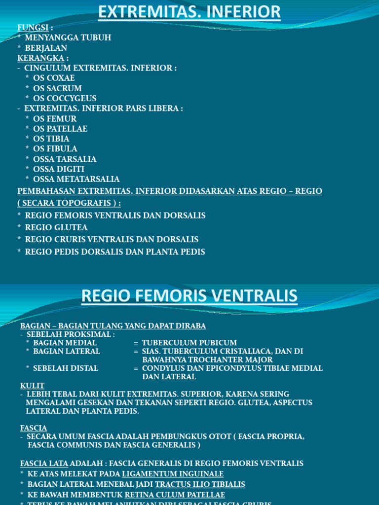 EXTREMITAS | PDF | Sains & Matematika