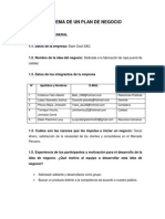 Esquema de Un Plan de Negocio