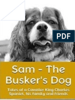 Sam - The Busker's Dog