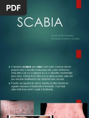 Scabia