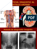Curs Ix X Aparat Renal
