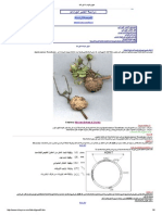 6مفهوم الهندسة الوراثية.pdf