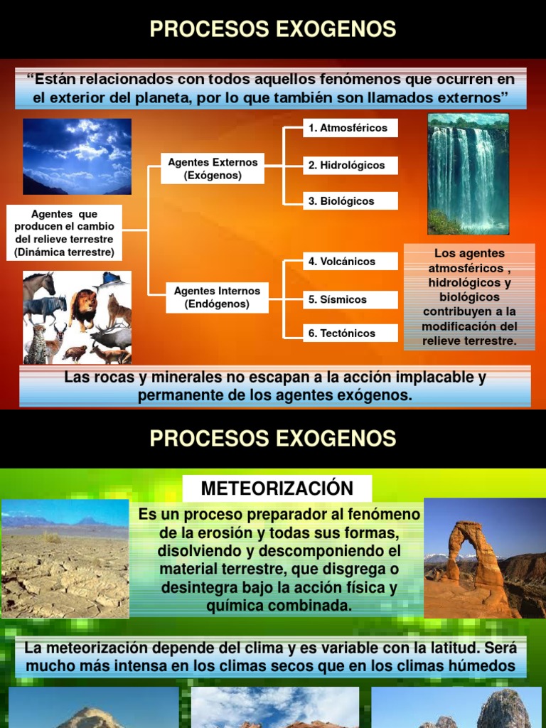 Tipos y Ejemplos de Procesos Exógenos | PDF