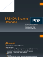 BRENDA Enzyme Database