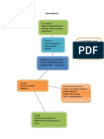 Fecundación 01