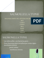 Salmonella