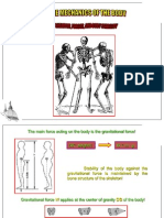 Chapter 1.  Mechanics of the Body 1.ppt