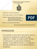 Terapia de Familia - Presentacion Realidades