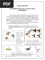 Adaptaciones de Los Seres Vivos