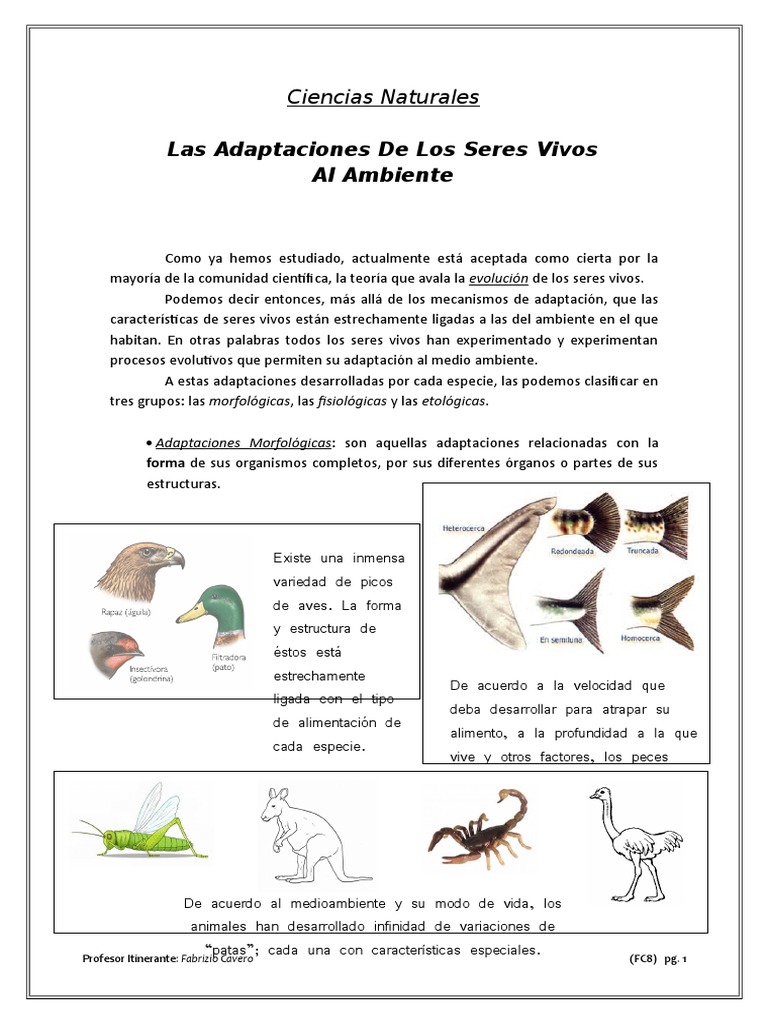 adaptaciones de los seres vivos