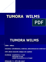 TUMORA  WILMS.ppt