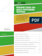 Perspectives On Agile Software Testing