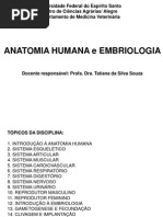 Aula 1 - Introdução