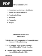 1 Aminas