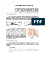 La Respiración Diafragmática