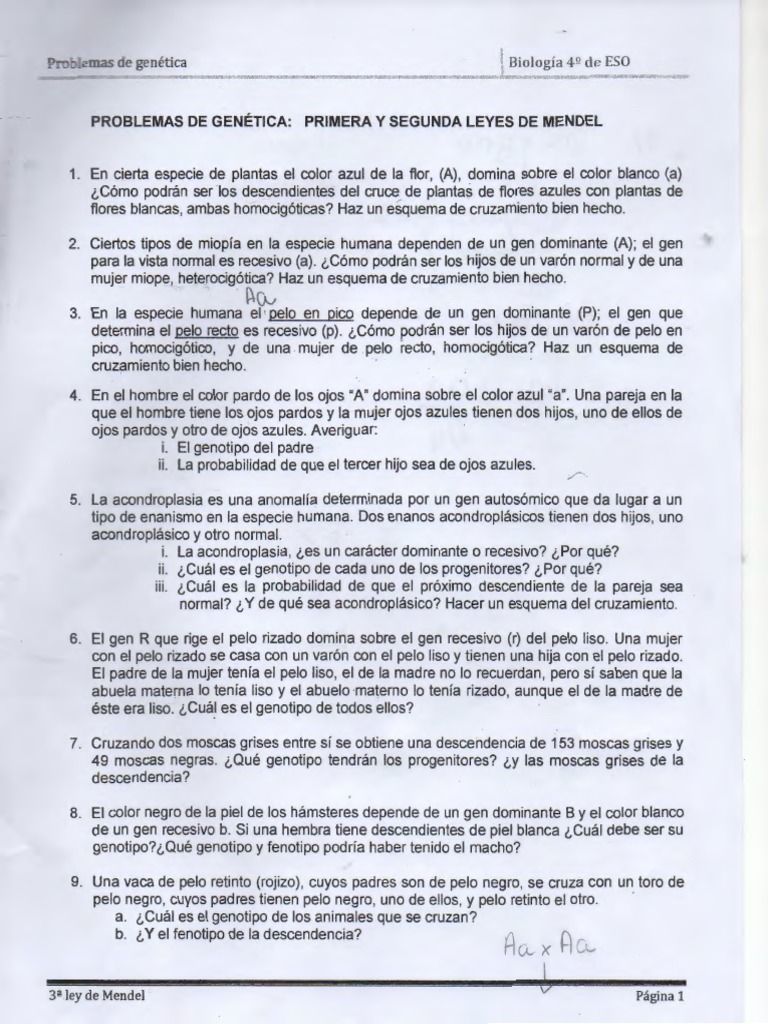 Ejercicios Genetica Pagina 1 Resueltos | PDF | Dominancia (Genética) |  Ciencias de la vida, image size:768x1024