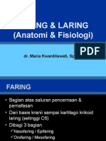 Anatomi Faring Dan Laring (Dr. Maria)