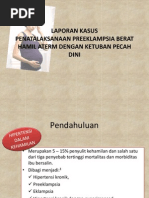 PEB case