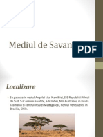 Mediul de Savana