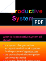 Anatomy of Reproductive health