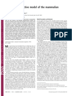 A Detailed Predictive Model of The Mammalian Circadian Clock