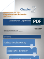 2. Diversity in Organizations
