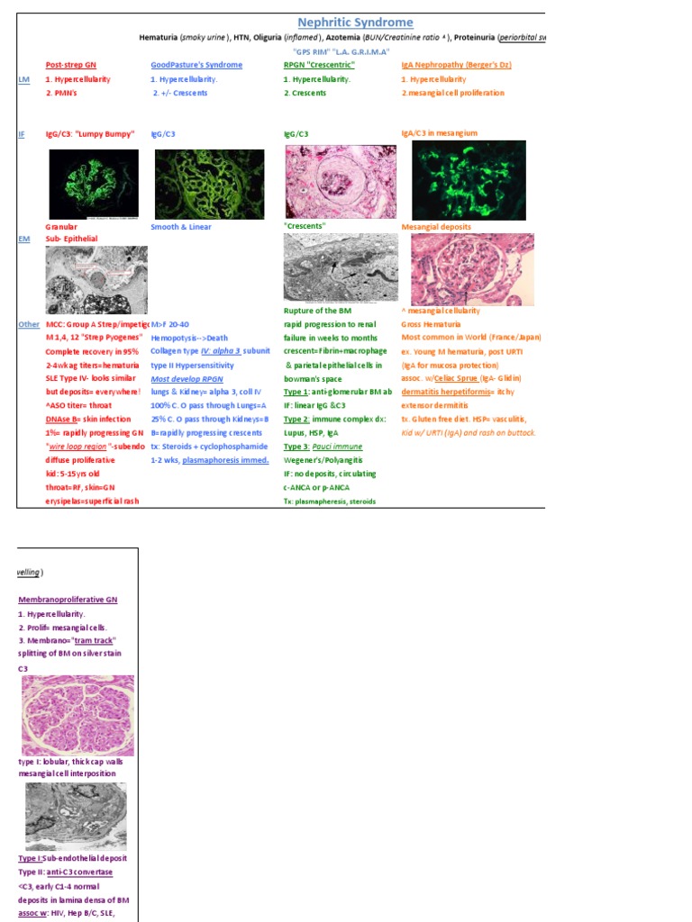 Nephritic Syndrome Overview and Types | PDF | Wellness | Science ...