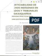 La Justiciabilidad de Los Derechos Indígenas