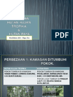 Perbezaan Hutan Hujan Tropika Dan Hutan Paya