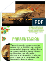 Portfolio de Servicios