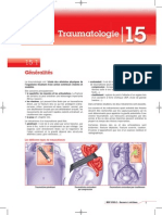 BSP 200.2 15 Traumatologie.pdf