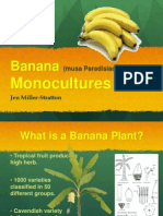 Banana Presentation