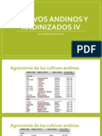 Cultivos Andinos y Andinizados IV