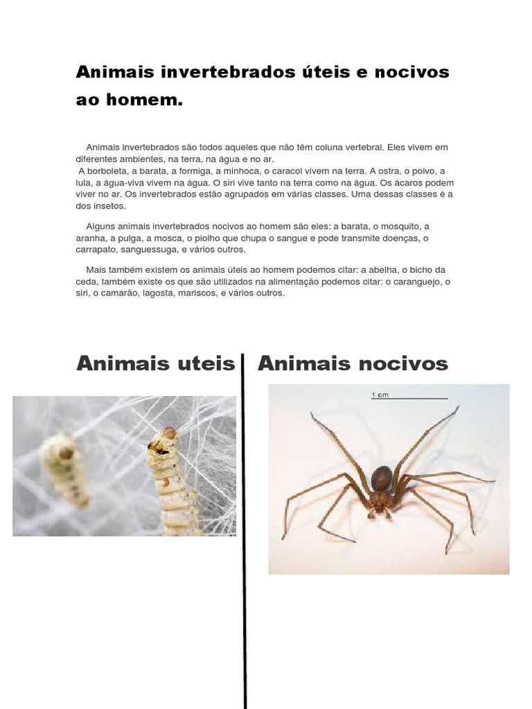 Animais Úteis e Nocivos Ao Homem | PDF