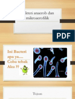 Bakteri Anaerob Dan Mikroaerofilik